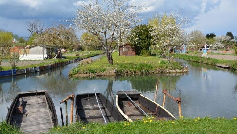 Cinq petites histoires des marais